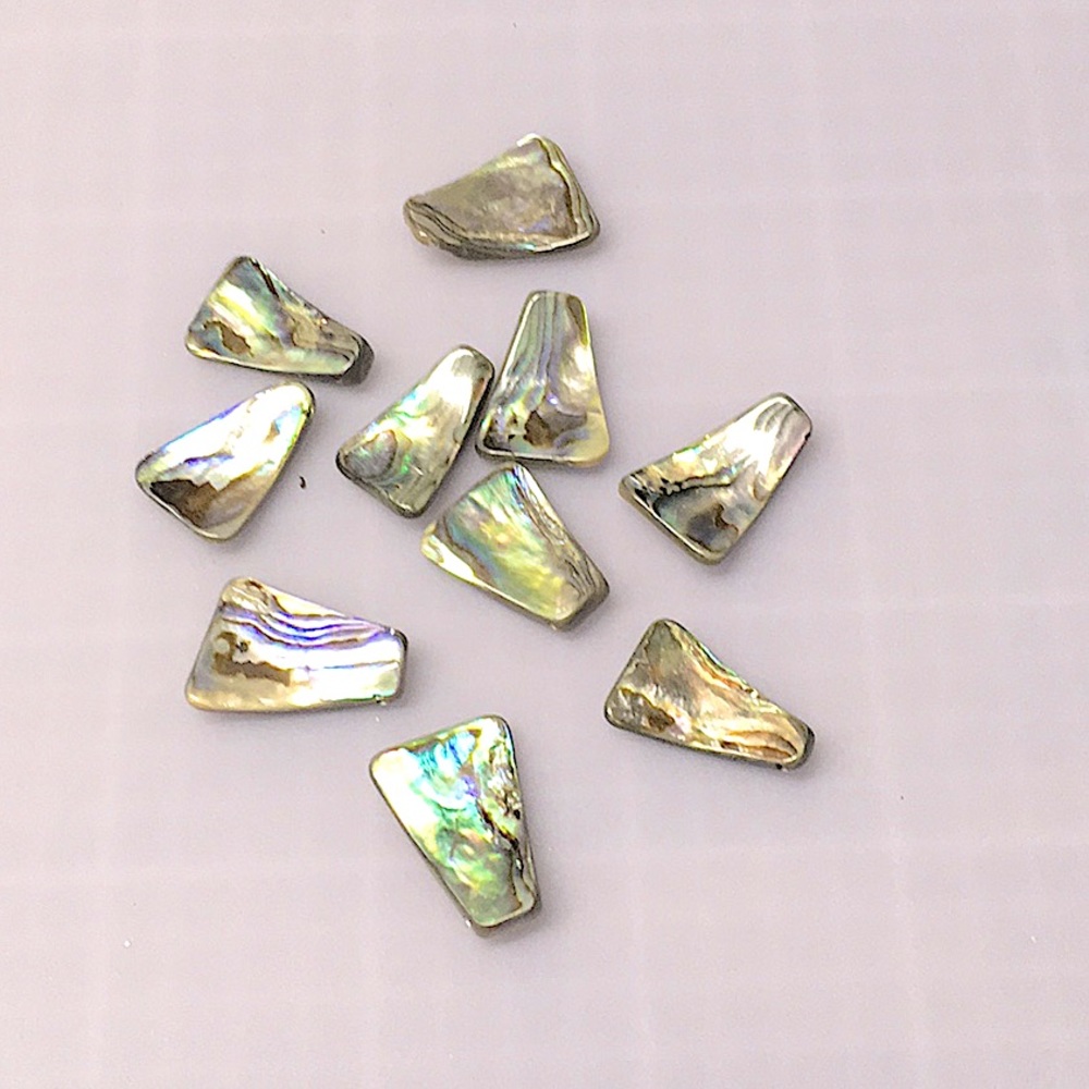 Natural Paua Shell Rounded Triangle Drop Beads.